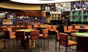 betpkrvip Cricket Expert Bets